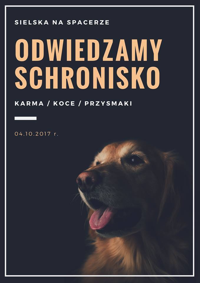 schronisko-dla-psow-plakat
